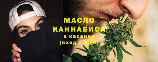 гидра Каменка