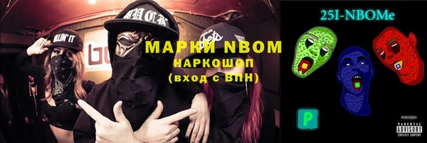 гидра Каменка