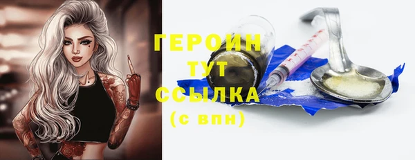 гидра Каменка
