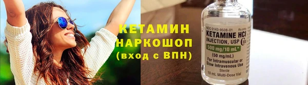 гидра Каменка