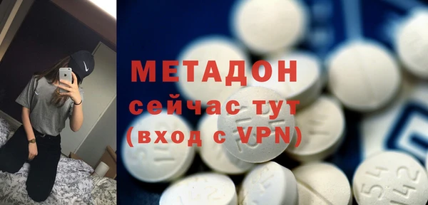 гидра Каменка