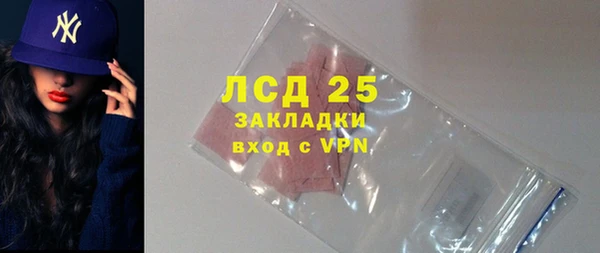 ГАЛЛЮЦИНОГЕННЫЕ ГРИБЫ Инсар