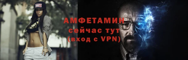 гидра Каменка