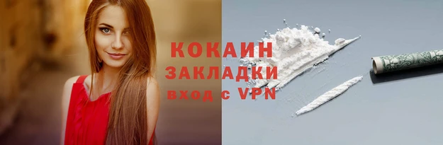 гидра Каменка