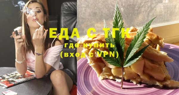 гидра Каменка