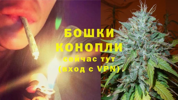 гидра Каменка