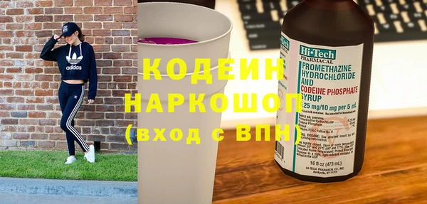 гидра Каменка