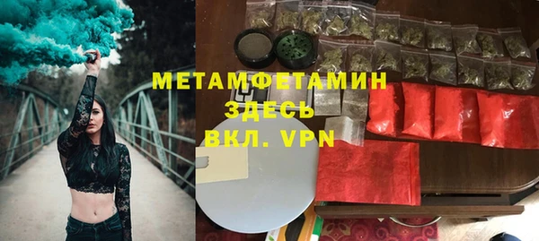 гидра Каменка