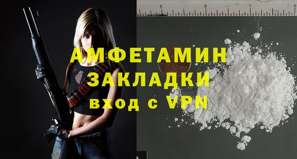 гидра Каменка