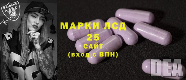 apvp Инта