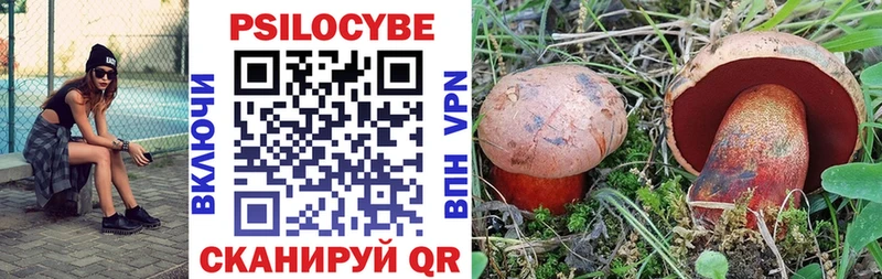 Купить где  Цимлянск  Галлюциногенные грибы ЛСД 